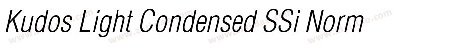 Kudos Light Condensed SSi Normal字体转换